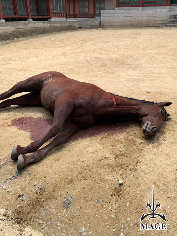 KakaoTalk_20190717_141629233.jpg